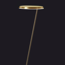Load image into Gallery viewer, Amanita LED Floor Lamp in Detail.
