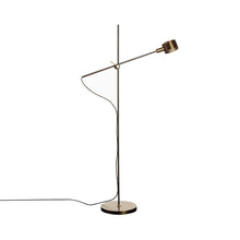 Load image into Gallery viewer, G.O. LED Floor Lamp.

