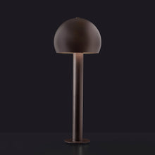 Load image into Gallery viewer, Otto 329 LED Path Light.
