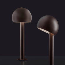 Load image into Gallery viewer, Otto 329 LED Path Light in Detail.
