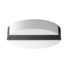 Load image into Gallery viewer, Aurora LED Flush Mount Ceiling Light.
