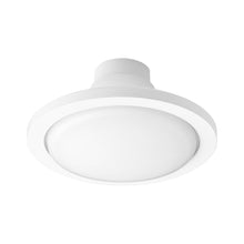 Load image into Gallery viewer, Juno Ceiling Fan in Detail.
