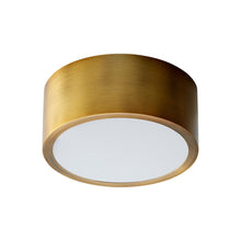 Load image into Gallery viewer, Peepers LED Flush Mount Ceiling Light in Aged Brass (Small).

