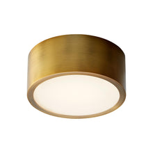 Load image into Gallery viewer, Peepers LED Flush Mount Ceiling Light in Detail.
