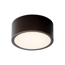 Load image into Gallery viewer, Peepers LED Flush Mount Ceiling Light in Detail.
