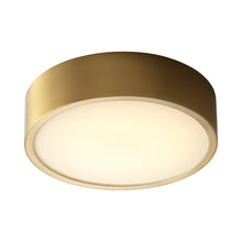 Load image into Gallery viewer, Peepers LED Flush Mount Ceiling Light in Detail.
