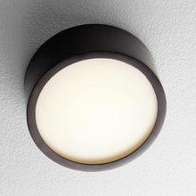 Load image into Gallery viewer, Peepers LED Flush Mount Ceiling Light in Detail.
