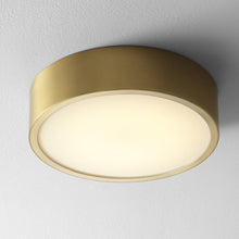 Load image into Gallery viewer, Peepers LED Flush Mount Ceiling Light in Detail.
