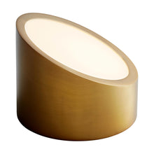 Load image into Gallery viewer, Zeepers LED Ceiling / Wall Light in Detail.
