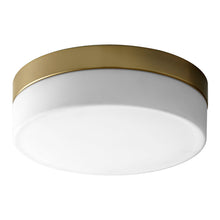 Load image into Gallery viewer, Zuri LED Flush Mount Ceiling Light in Aged Brass (11-Inch).
