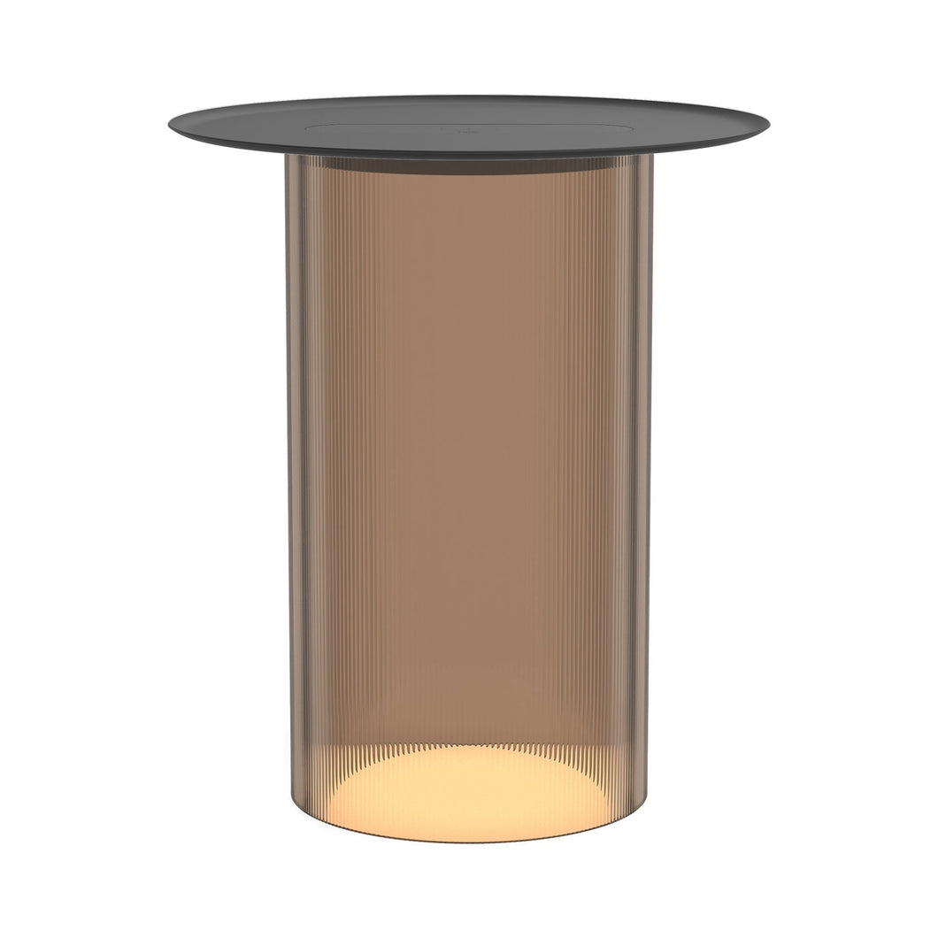 Carousel LED Floor Lamp in Bronze/Black.
