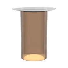 Load image into Gallery viewer, Carousel LED Floor Lamp in Bronze/White.
