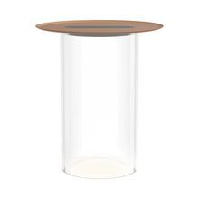 Load image into Gallery viewer, Carousel LED Floor Lamp in Clear/Terracotta.
