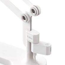 Load image into Gallery viewer, Link USB in Detail.

