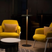 Load image into Gallery viewer, Nivel LED Floor Lamp in living room.
