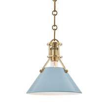 Load image into Gallery viewer, Painted No.2 Pendant Light Small/Aged Brass/Blue Bird.
