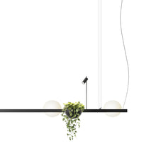 Load image into Gallery viewer, Palma 3736 LED Pendant Light in Detail.
