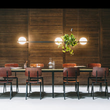 Load image into Gallery viewer, Palma 3736 LED Pendant Light in dining room.
