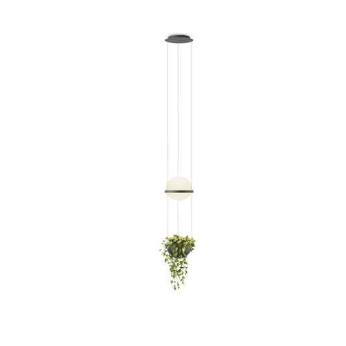 Palma Planter LED Pendant Light.