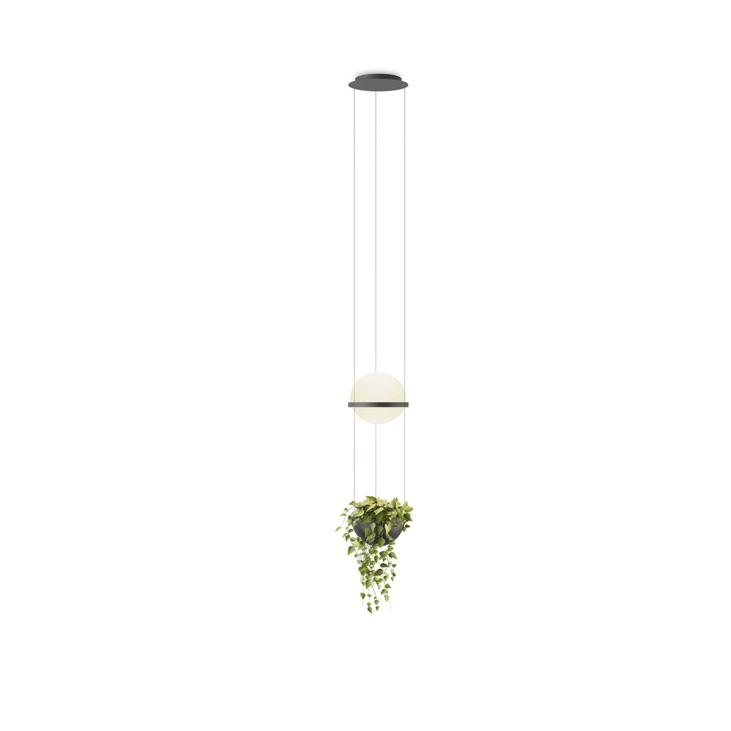 Palma Planter LED Pendant Light.