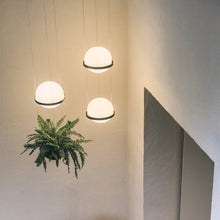 Load image into Gallery viewer, Palma Planter LED Pendant Light in lobby.
