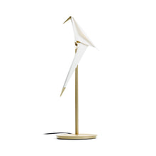 Load image into Gallery viewer, Perch LED Table Lamp in Detail.
