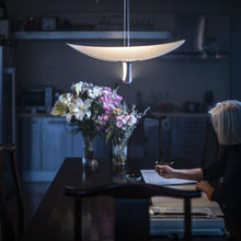Load image into Gallery viewer, Plena LED Pendant Light in office.
