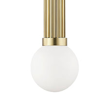 Load image into Gallery viewer, Reade Pendant Light in Detail.
