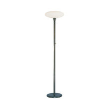 Load image into Gallery viewer, Ovo Floor Lamp in Deep Patina Bronze.
