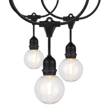 Load image into Gallery viewer, Indoor/Outdoor String Lights in Black (LED/2W/G25/24-feet/7-Unit).
