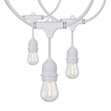 Load image into Gallery viewer, Indoor/Outdoor String Lights in White (LED/1W/24-feet/10-Unit).
