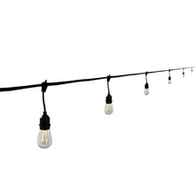 Load image into Gallery viewer, Indoor/Outdoor String Lights in Detail.

