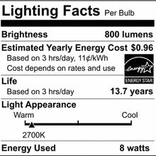 Load image into Gallery viewer, Medium Base A Type LED Bulb in Detail.
