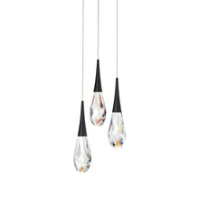 Load image into Gallery viewer, Hibiscus LED Multi Light Pendant Light in Black (3-Light).
