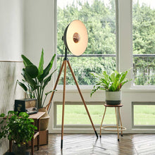Load image into Gallery viewer, Apollo LED Floor Lamp in living room. 
