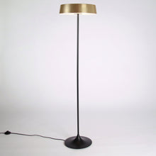Load image into Gallery viewer, China LED Floor Lamp in Detail.
