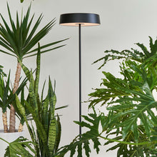 Load image into Gallery viewer, China LED Floor Lamp in Detail.
