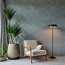 Load image into Gallery viewer, China LED Floor Lamp in living room.

