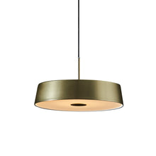 Load image into Gallery viewer, China LED Pendant Light in Brass.
