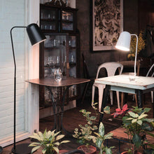 Load image into Gallery viewer, Dodo Floor Lamp in living room.
