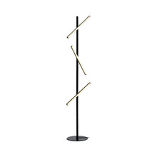 Load image into Gallery viewer, Lisa LED Floor Lamp in Black.
