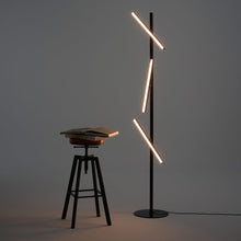 Load image into Gallery viewer, Lisa LED Floor Lamp in studio.
