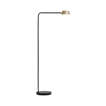 Load image into Gallery viewer, OLO LED Floor Lamp in Black/Champagne Gold.
