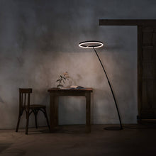 Load image into Gallery viewer, SOL LED Floor Lamp in living room.
