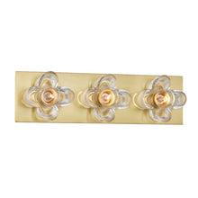 Load image into Gallery viewer, Shea Bath Wall Light in Aged Brass (3-Light).
