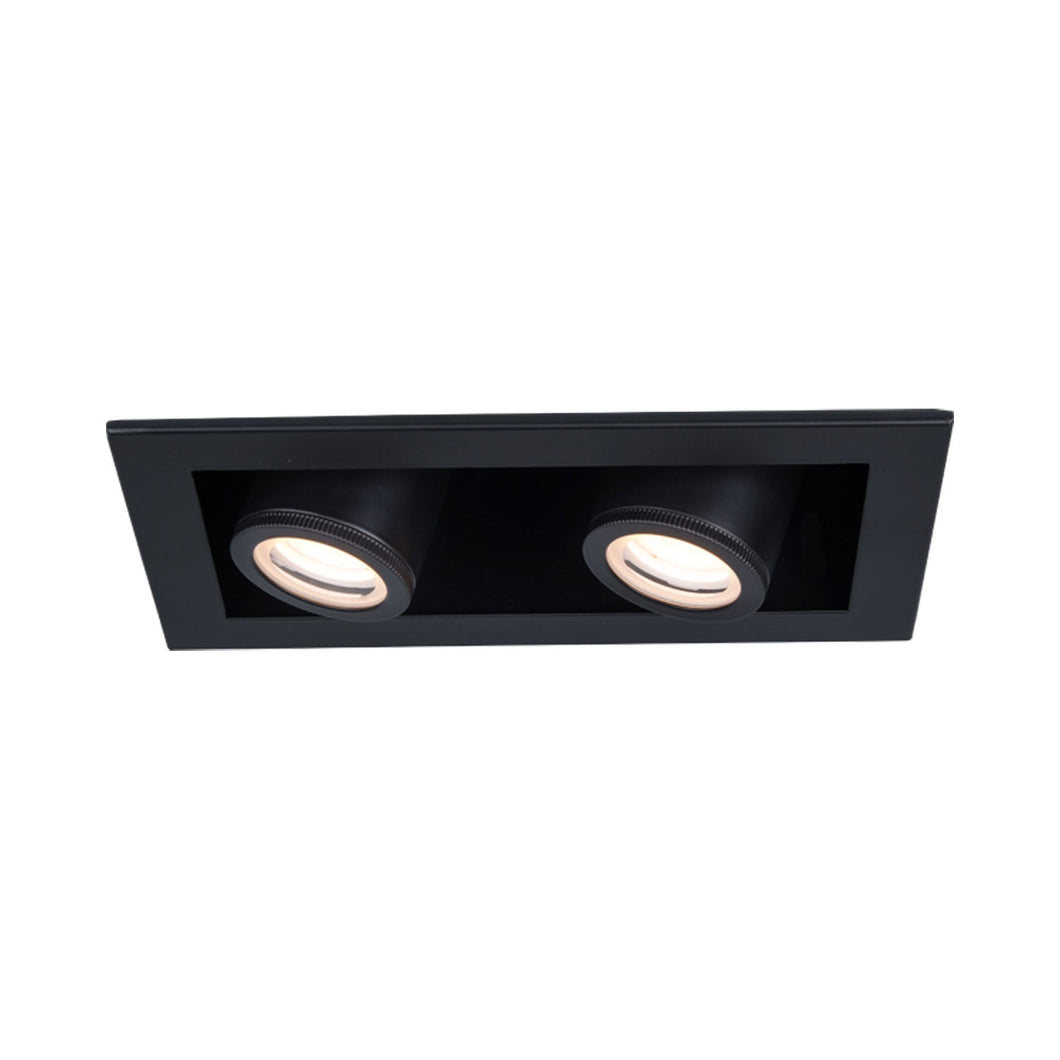 Silo Multiples 2 Light LED Recessed Trim in Black (Trim).