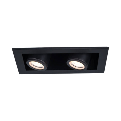 Silo Multiples 2 Light LED Recessed Trim.