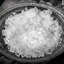Load image into Gallery viewer, Clizia LED Ceiling / Wall Light in Detail.
