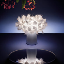 Load image into Gallery viewer, Clizia LED Battery Table Lamp in dining room.
