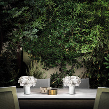 Load image into Gallery viewer, Clizia LED Battery Table Lamp in dining room.
